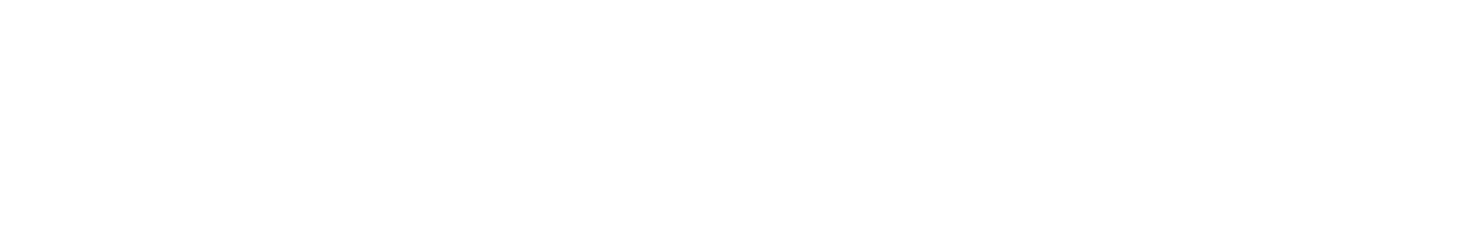 Evolution X Logo